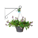 wandhaken eleganz 30cm anthrazit